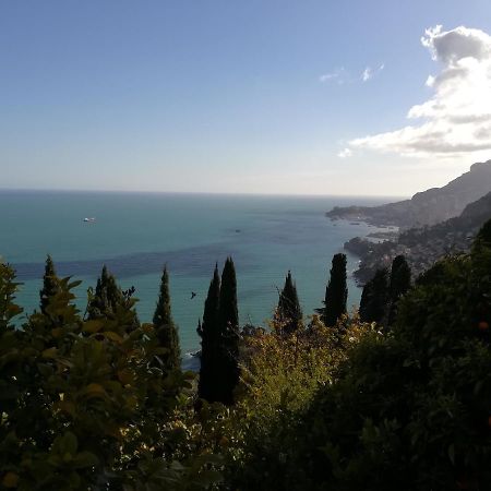 Monaco'S Cottage & Spa Roquebrune-Cap-Martin Exterior foto